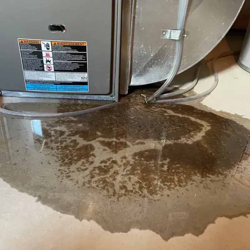 Appliance Leak Cleanup in Wesleyville, PA